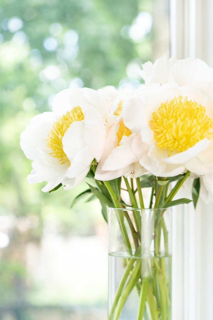 生きる力サロン「ありのまま」のイメージ