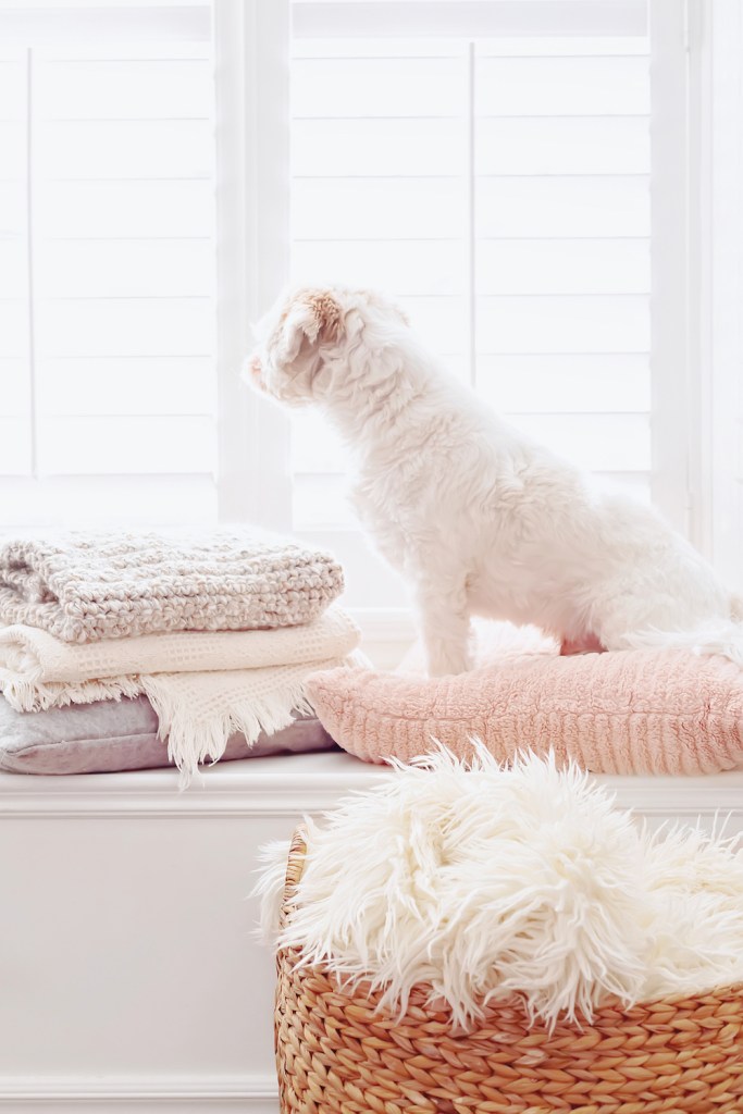 生きる力サロン「のんびり」イメージ